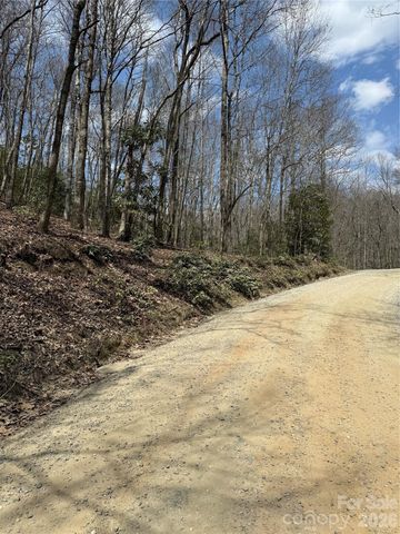 00 Line Runner Ridge Road, Rosman, NC 28722