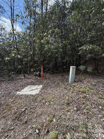 00 Line Runner Ridge Road, Rosman, NC 28722