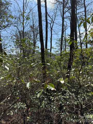 00 Line Runner Ridge Road, Rosman, NC 28722