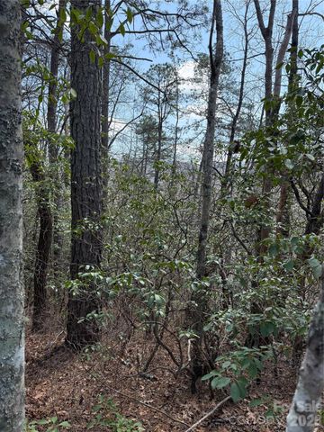 00 Line Runner Ridge Road, Rosman, NC 28722