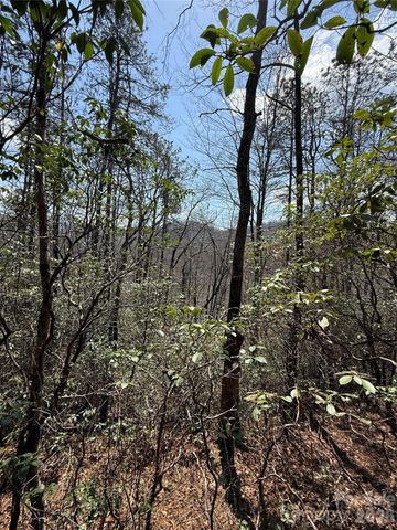 00 Line Runner Ridge Road, Rosman, NC 28722