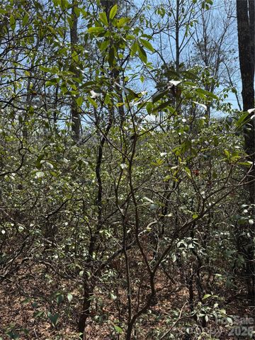 00 Line Runner Ridge Road, Rosman, NC 28722