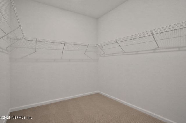 3581 ZYDECO Loop, Green Cove Springs, FL 32043