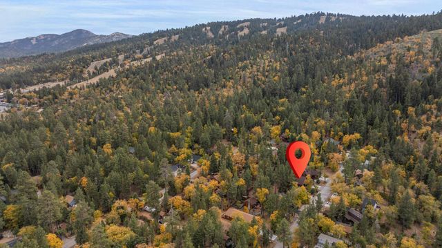 855 Conklin Road, Big Bear, CA 92315