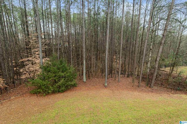 1440 STONEYKIRK ROAD, Pelham, AL 35124