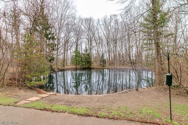 9251 Boyer Lane, Kirtland Hills, OH 44060