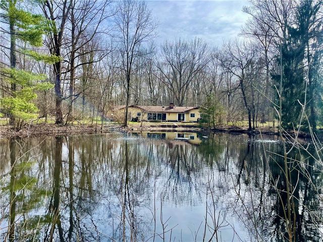 9251 Boyer Lane, Kirtland Hills, OH 44060