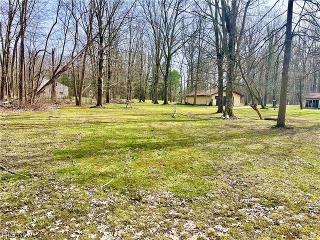 9251 Boyer Lane, Kirtland Hills, OH 44060