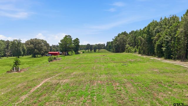 19267 CR 234, Tyler, TX 75707