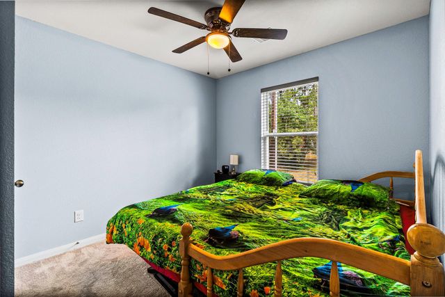 155 Cherry Tree, Livingston, TX 77351