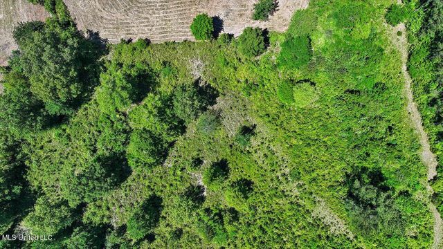 337 J C Prestage Road, Pelahatchie, MS 39145