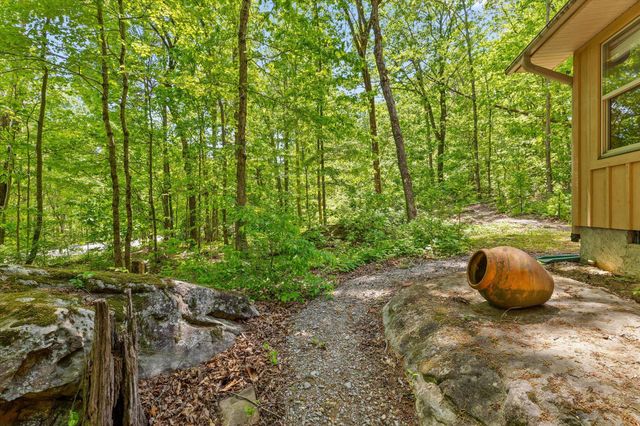 16481 Downey View Drive, Sale Creek, TN 37373