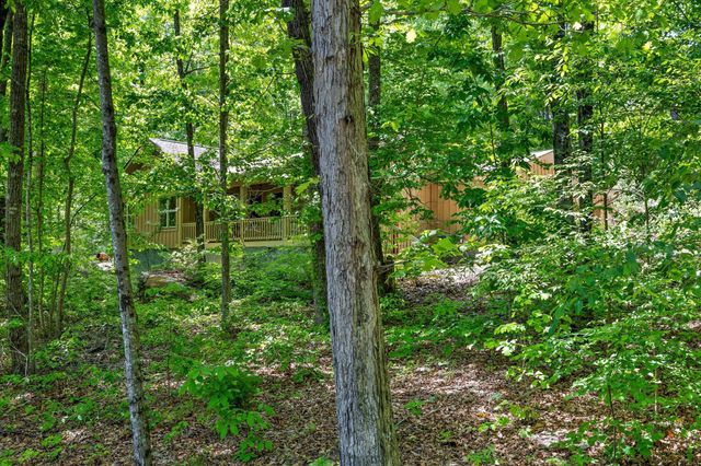 16481 Downey View Drive, Sale Creek, TN 37373