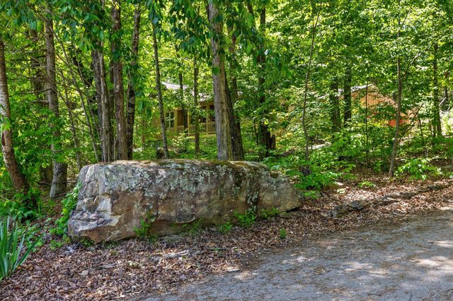 16481 Downey View Drive, Sale Creek, TN 37373