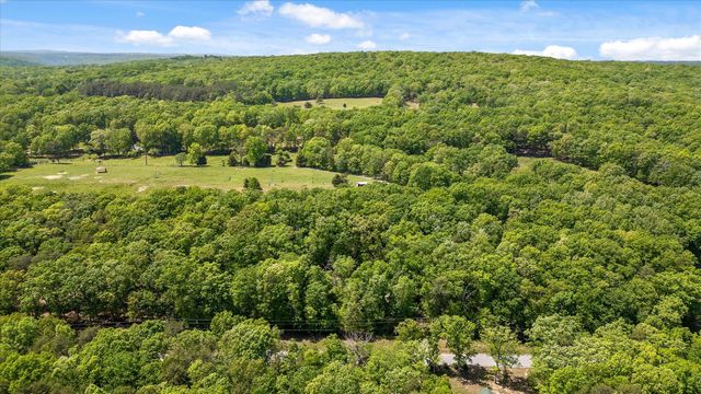 16481 Downey View Drive, Sale Creek, TN 37373