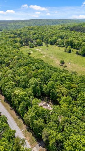 16481 Downey View Drive, Sale Creek, TN 37373