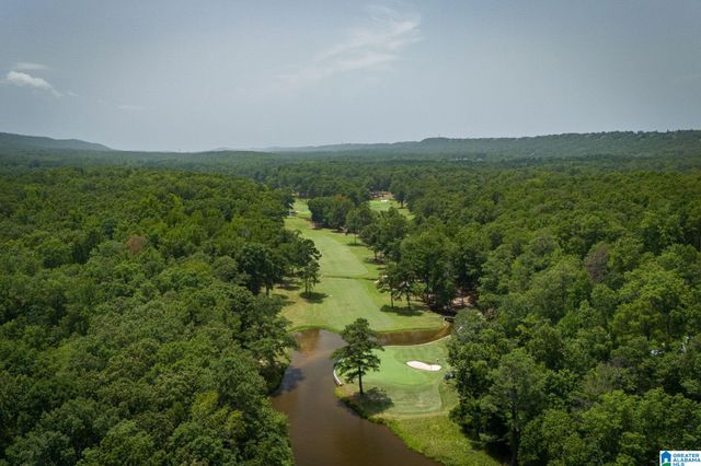 3 BALTUSROL COURT, Birmingham, AL 35242