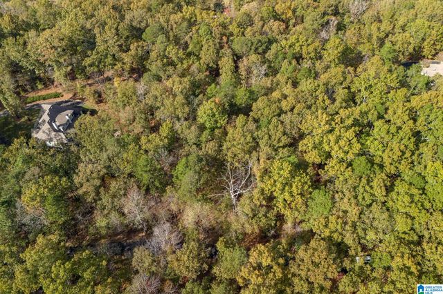 3 BALTUSROL COURT, Birmingham, AL 35242