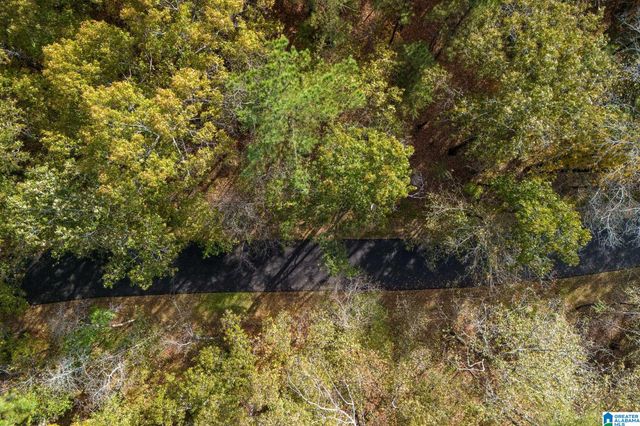 3 BALTUSROL COURT, Birmingham, AL 35242