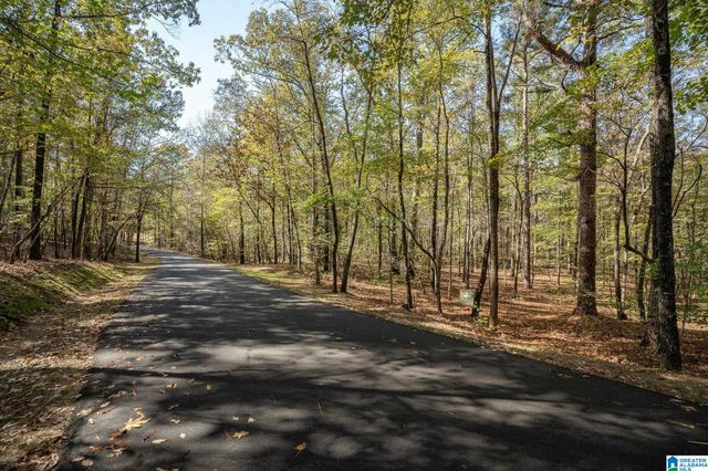 3 BALTUSROL COURT, Birmingham, AL 35242