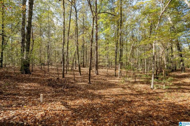 3 BALTUSROL COURT, Birmingham, AL 35242