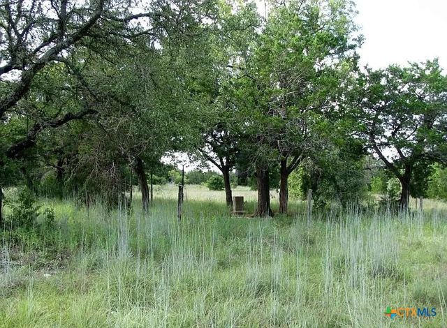 3650 Fm 932, Jonesboro, TX 76538