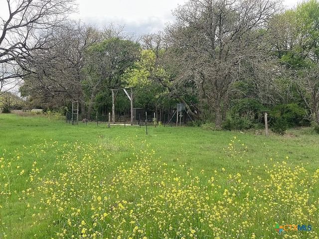 3650 Fm 932, Jonesboro, TX 76538