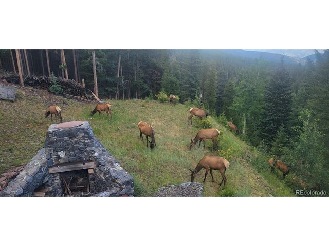 254 Aspenwood Ln, Evergreen, CO 80439