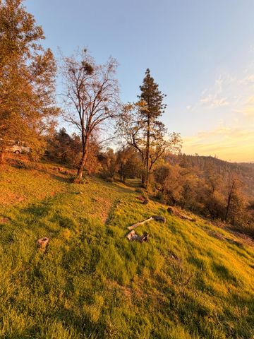 19751 Shirley Ln, Foresthill, CA 95631