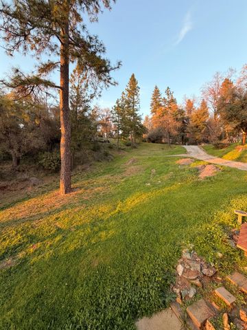 19751 Shirley Ln, Foresthill, CA 95631