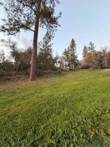 19751 Shirley Ln, Foresthill, CA 95631