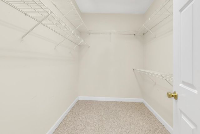 1034 University Forest Dr., Conway, SC 29526