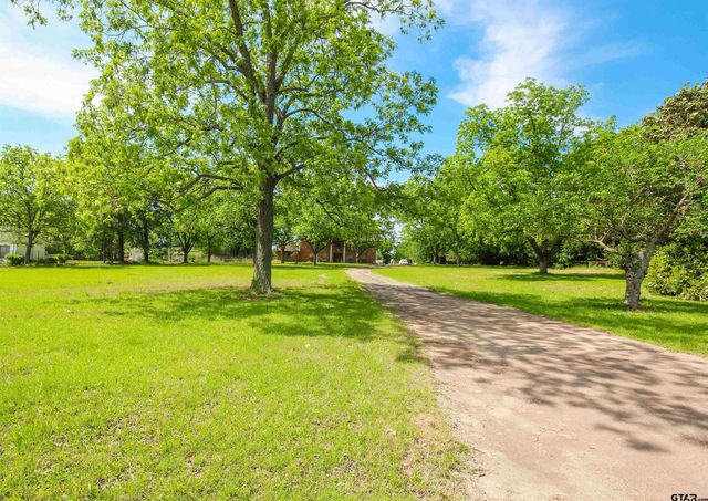 1006 Quitman St, Pittsburg, TX 75686