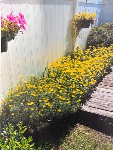 241 Lowell Street 3, Andover, MA 01810