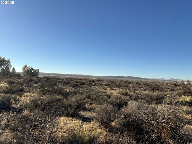 Pinion Lane, Christmas Valley, OR 97641