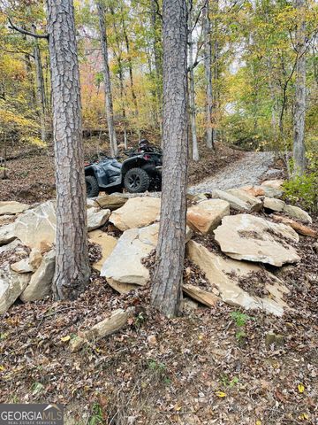 0 Hellyer Drive, Cleveland, GA 30528