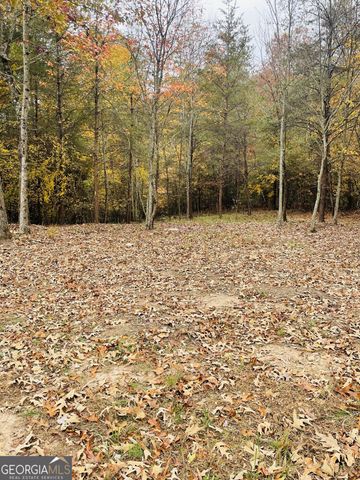0 Hellyer Drive, Cleveland, GA 30528