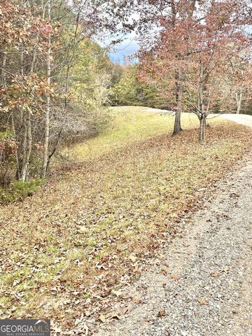 0 Hellyer Drive, Cleveland, GA 30528