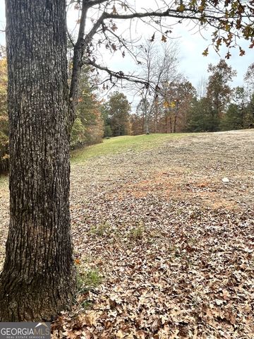 0 Hellyer Drive, Cleveland, GA 30528