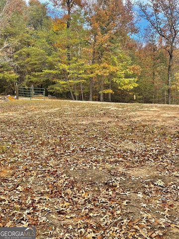 0 Hellyer Drive, Cleveland, GA 30528