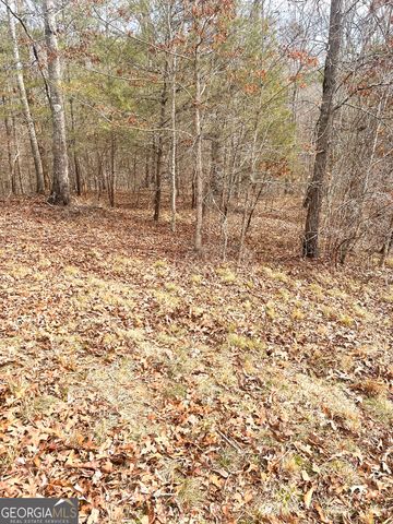 0 Hellyer Drive, Cleveland, GA 30528