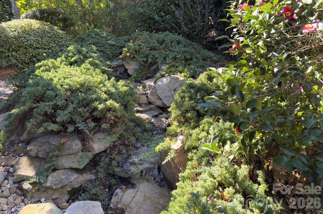 18530 Carnegie Overlook Boulevard, Davidson, NC 28036