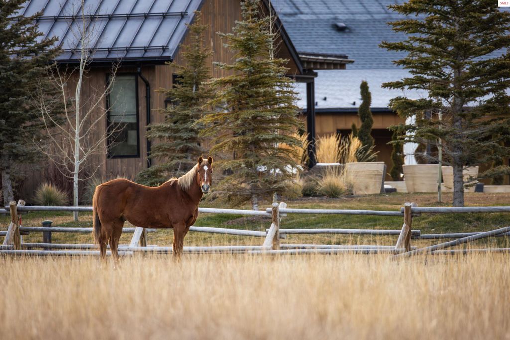 708 E Fork Road, Hailey, ID 83333 photo 85