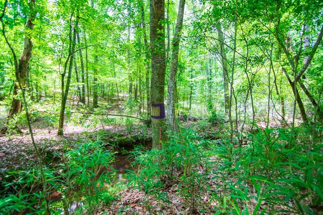 0 White Road, Pine Mountain, GA 31822