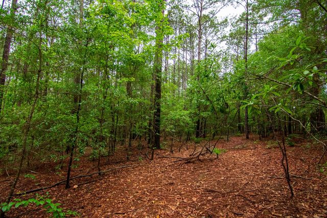 0 White Road, Pine Mountain, GA 31822