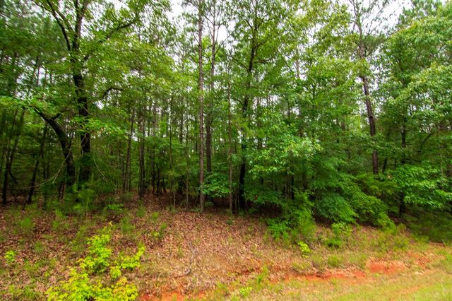 0 White Road, Pine Mountain, GA 31822