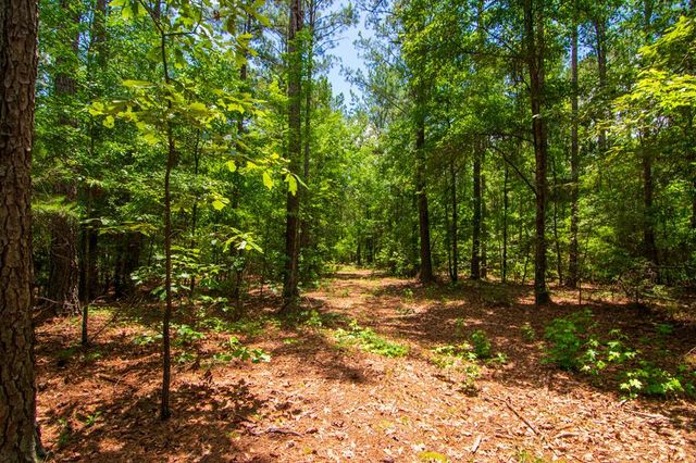 0 White Road, Pine Mountain, GA 31822