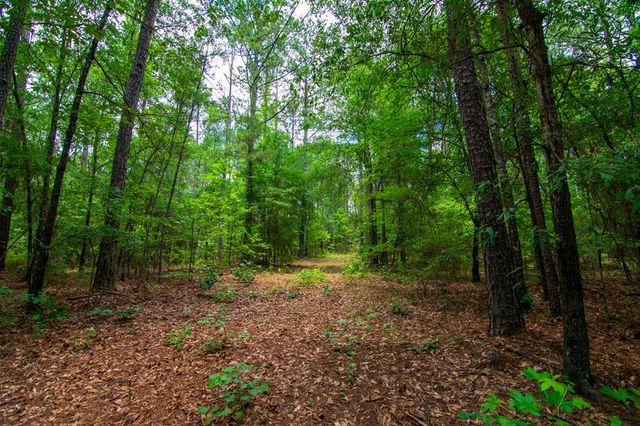 0 White Road, Pine Mountain, GA 31822