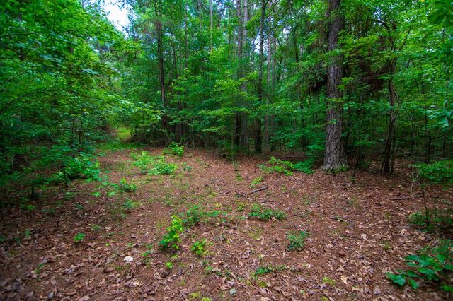 0 White Road, Pine Mountain, GA 31822