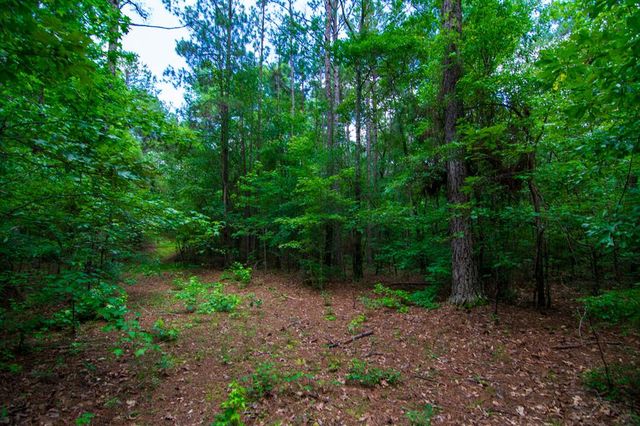 0 White Road, Pine Mountain, GA 31822